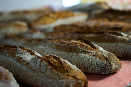 Pane con pasta madre